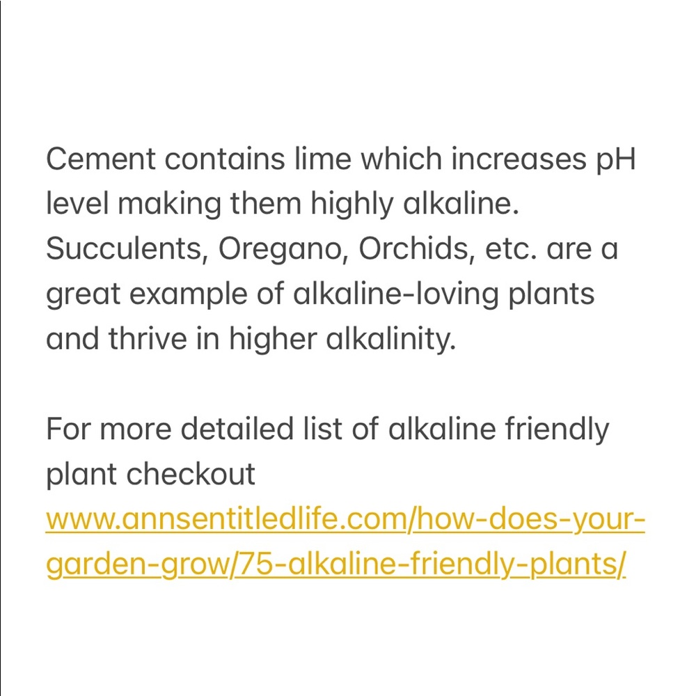 Industrial Modern handcrafted cement planter - Picture 7 of 7